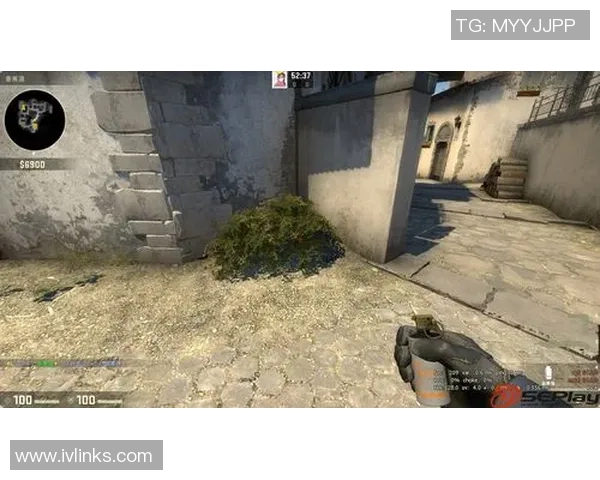 CSGO战队LNG的战术灵活性分析与未来发展展望