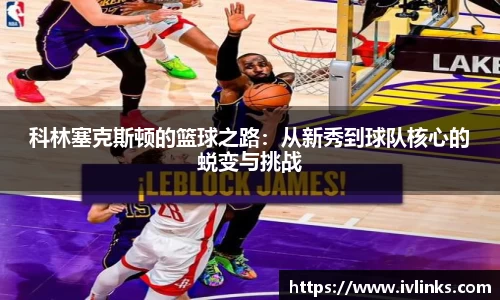 JJB竞技宝官网