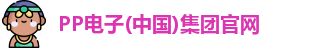 PP电子
